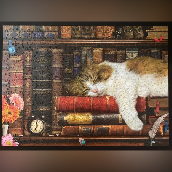 3/$20 🧩 The Cat Nap 500 Piece Jigsaw Puzzle by EuroGraphics - Picture 6 of 6